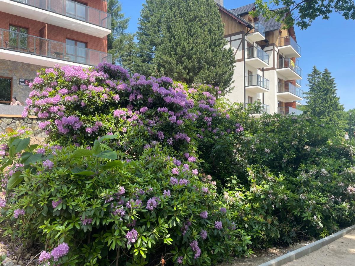Apartament N&B Szklarska Poręba Exteriör bild